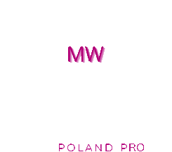 metalwork poland pro logo negative