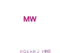metalwork poland pro logo negative